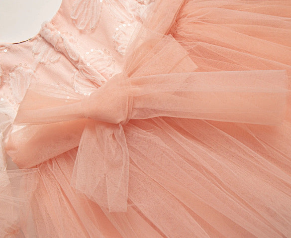 Sugar plum fairy dress