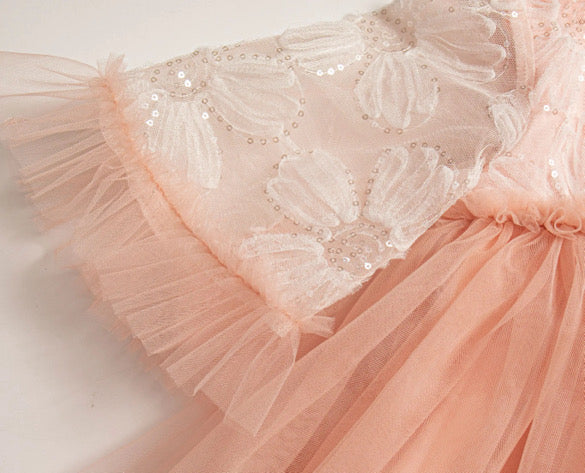 Sugar plum fairy dress